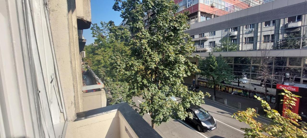 Apartmán Bohemian Bělehrad Exteriér fotografie